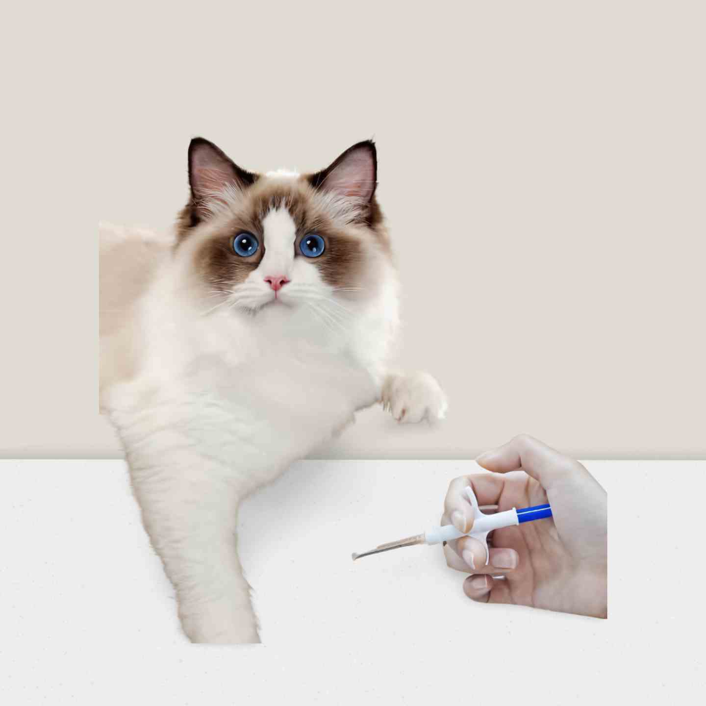 Temperature sensor  Microchip